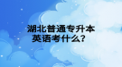 湖北普通專升本英語(yǔ)考什么？