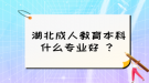 湖北成人教育本科什么專業(yè)好 ？