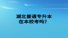 湖北普通專升本在本?？紗?？