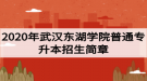 2020年武漢東湖學(xué)院普通專升本招生簡章