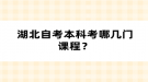 湖北自考本科考哪幾門課程？