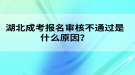 湖北成考報(bào)名審核不通過是什么原因？