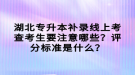 湖北專升本補(bǔ)錄線上考查考生要注意哪些？評(píng)分標(biāo)準(zhǔn)是什么？