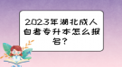 2023年湖北成人自考專升本怎么報名？