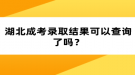 湖北成考錄取結(jié)果可以查詢了嗎？