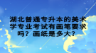 湖北普通專升本的美術學專業(yè)考試有畫筆要求嗎？畫紙是多大？