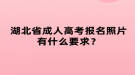 湖北省成人高考報(bào)名照片有什么要求？