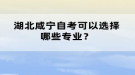 湖北咸寧自考可以選擇哪些專業(yè)？