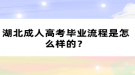 湖北成人高考畢業(yè)流程是怎么樣的？