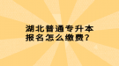 湖北普通專升本報(bào)名怎么繳費(fèi)？