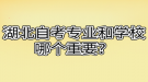 湖北自考專業(yè)和學(xué)校哪個(gè)重要？