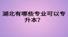 湖北有哪些專業(yè)可以專升本？