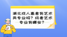 湖北成人高考有藝術類專業(yè)嗎？成考藝術專業(yè)有哪些？