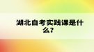 湖北自考實(shí)踐課是什么？