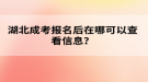 湖北成考報(bào)名后在哪可以查看信息？