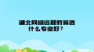 湖北網(wǎng)絡遠程教育選什么專業(yè)好？