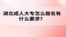 湖北成人高考大專怎么報名有什么要求？