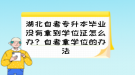 湖北自考專升本畢業(yè)沒有拿到學(xué)位證怎么辦？自考拿學(xué)位的辦法