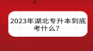 2023年湖北專升本到底考什么？