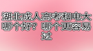 湖北成人高考和電大哪個好？哪個更容易過