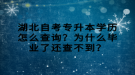 湖北自考專升本學(xué)歷怎么查詢？為什么畢業(yè)了還查不到？