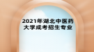 2021年湖北中醫(yī)藥大學(xué)成考招生專業(yè)