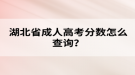 湖北省成人高考分?jǐn)?shù)怎么查詢？