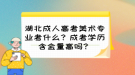 湖北成人高考美術專業(yè)考什么？成考學歷含金量高嗎？