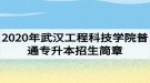 2020年武漢工程科技學(xué)院普通專升本招生簡章