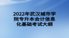 2022年武漢城市學(xué)院專(zhuān)升本會(huì)計(jì)信息化基礎(chǔ)考試大綱