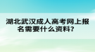 湖北武漢成人高考網(wǎng)上報(bào)名需要什么資料？