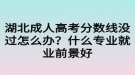 湖北成人高考分?jǐn)?shù)線沒(méi)過(guò)怎么辦？什么專業(yè)就業(yè)前景好