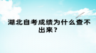 湖北自考成績(jī)?yōu)槭裁床椴怀鰜?lái)？