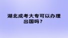 湖北成考大?？梢赞k理出國嗎？