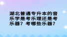 湖北普通專升本的音樂(lè)學(xué)是考樂(lè)理還是考樂(lè)器？考哪些樂(lè)器？