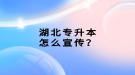 湖北專(zhuān)升本怎么宣傳？