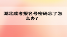 湖北成考報(bào)名號密碼忘了怎么辦？