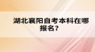 湖北襄陽自考本科在哪報名？