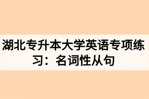 湖北專升本大學英語專項練習：名詞性從句