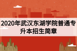 2020年武漢東湖學院普通專升本招生簡章