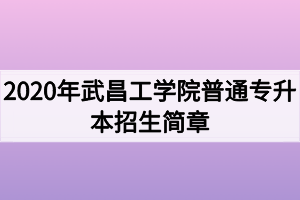 2020年武昌工學(xué)院普通專升本招生簡(jiǎn)章