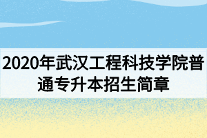 2020年武漢工程科技學院普通專升本招生簡章