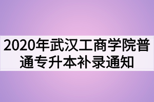 2020年武漢工商學(xué)院普通專升本補錄通知