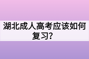 湖北成人高考應(yīng)該如何復(fù)習(xí)？