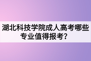 湖北科技學院成人高考哪些專業(yè)值得報考？