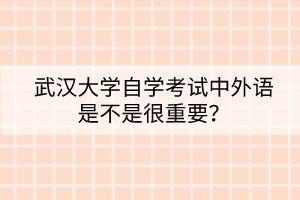 武漢大學(xué)自學(xué)考試中外語是不是很重要？