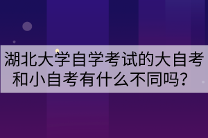 湖北大學自學考試的大自考和小自考有什么不同嗎？