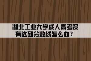 湖北工業(yè)大學(xué)成人高考沒有達到分數(shù)線怎么辦？