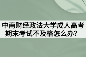 中南財(cái)經(jīng)政法大學(xué)成人高考期末考試不及格怎么辦？