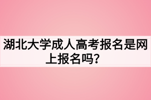 湖北大學(xué)成人高考報名是網(wǎng)上報名嗎？